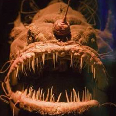 Terrible Mutated Creature #brainwash