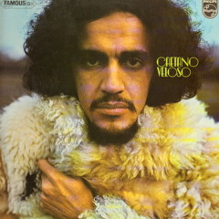 Sozinho - Caetano Veloso (Solito versión Chancho Poeta)