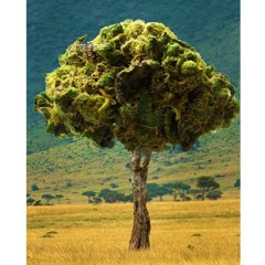 All Day Green - Smoking weed