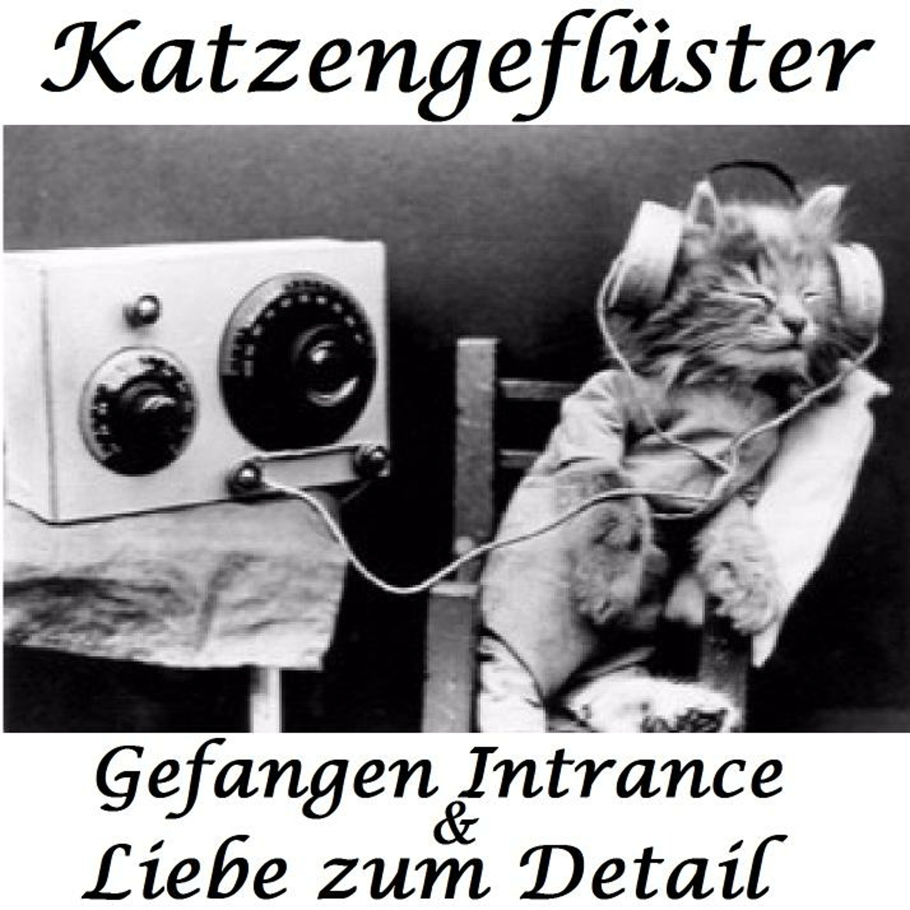 Gefangen Intrance
