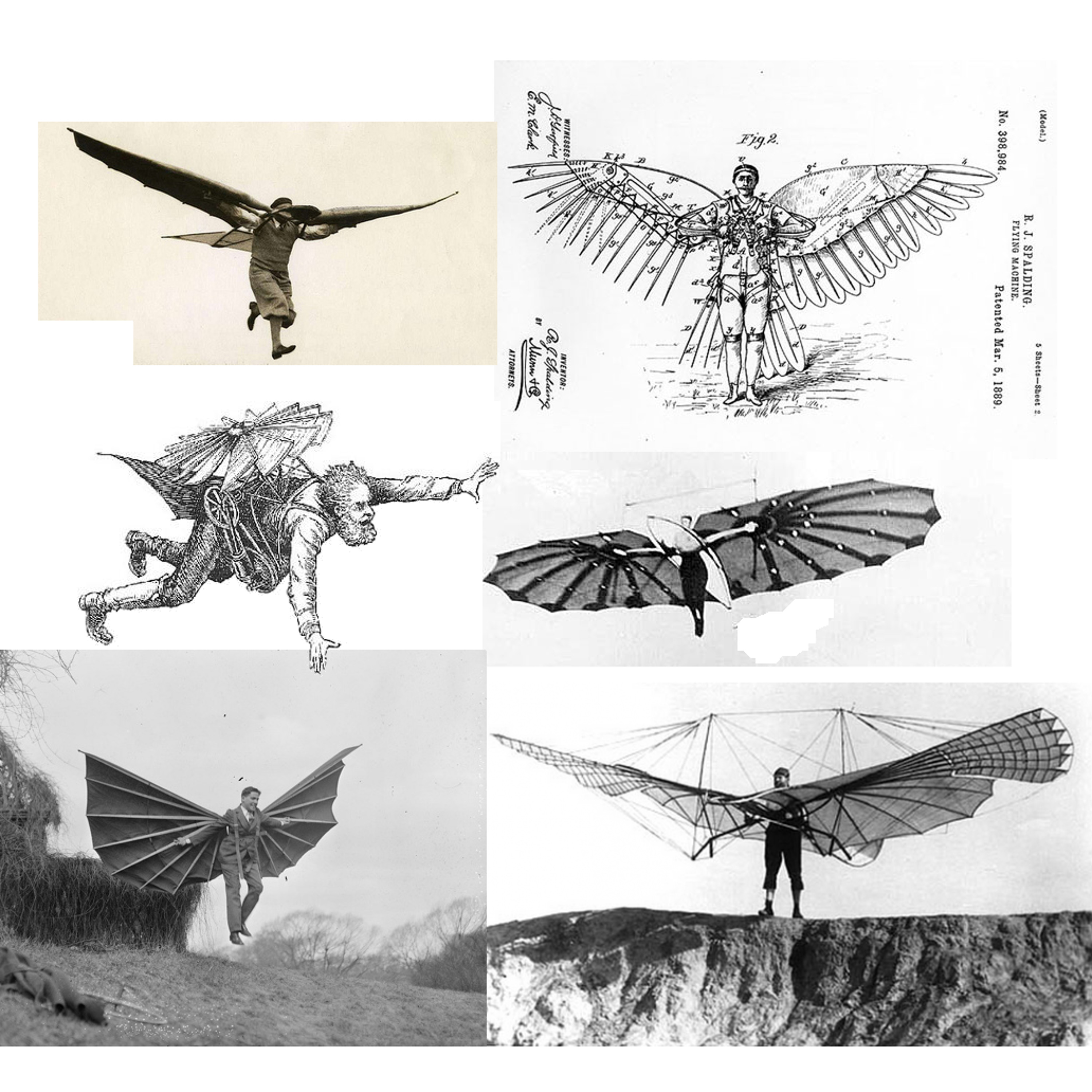 Flutter (free download) episode artwork