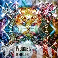 LEDEBRONX vinyl 9050-003 // WUDUB!? -DISORDER EP snippit // Out 21/05/2015