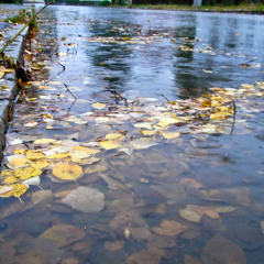 Mr. Mac Rough - Strassenpfützen Outro