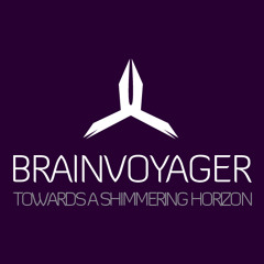 Towards A Shimmering Horizon