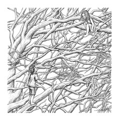 Orchid (Radio 1 Mix)