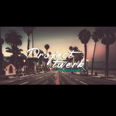 PROJECT TWERK