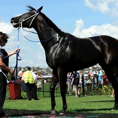 Black Caviar - Beats by Aidz1