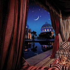 9861 Nights