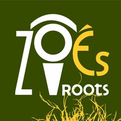 Matuto Moderno - Zo'És Roots