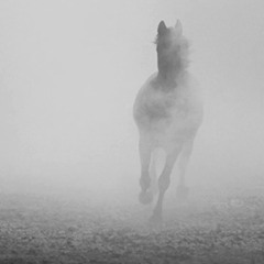 Ride or Die (Kind Of Way) [W/VOCALS]