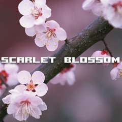 Scarlet Blossom