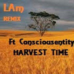 Consciousentity Music  Harvest Time   (LAm REMIX)