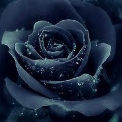 Black  Roses  By Lee Sah And The Vocal Processor.MP3