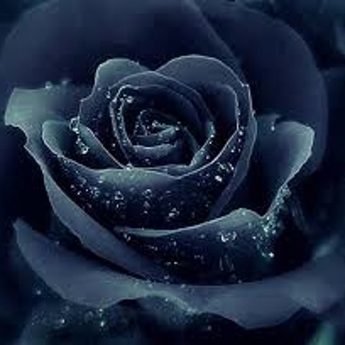 Black  Roses  By Lee Sah And The Vocal Processor.MP3