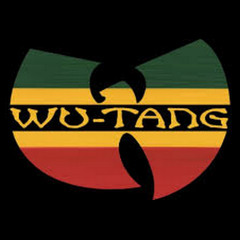 Method Man - Release Your Junglist (faXcooL MASH-UP)