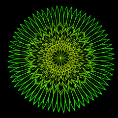 Winter 2013 Prog Set