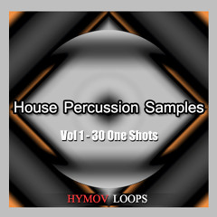House Percusion Samples Vol 1