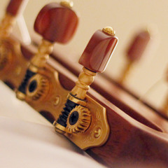 A Row of Pins. Solo Guitar.