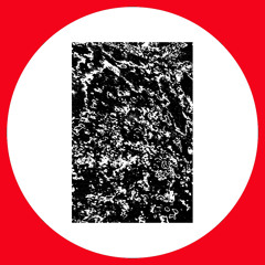 The Recognition ''Horns (Break Mix)'' (SKUDGE-W12) Preview