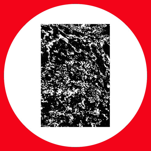 The Recognition ''Horns (Break Mix)'' (SKUDGE-W12) Preview