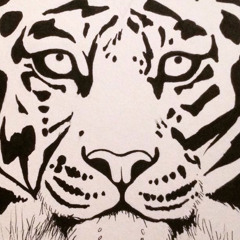 Tigerforce 10 (Glastonbury mix)