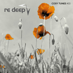 Cosy Tunes Podcast #3