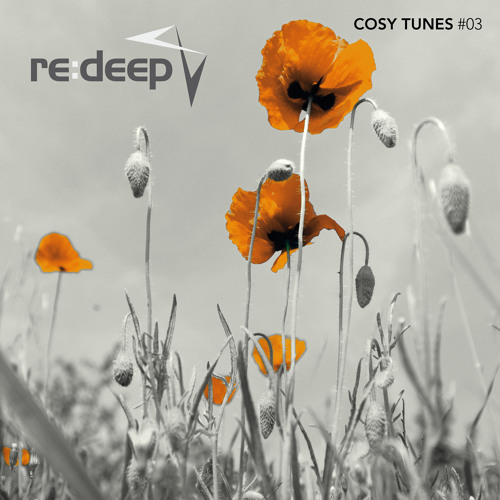 Cosy Tunes Podcast #3