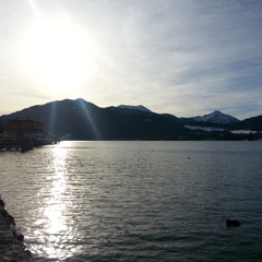 Some May Haiku (As Afternoon tea fades into the next life)