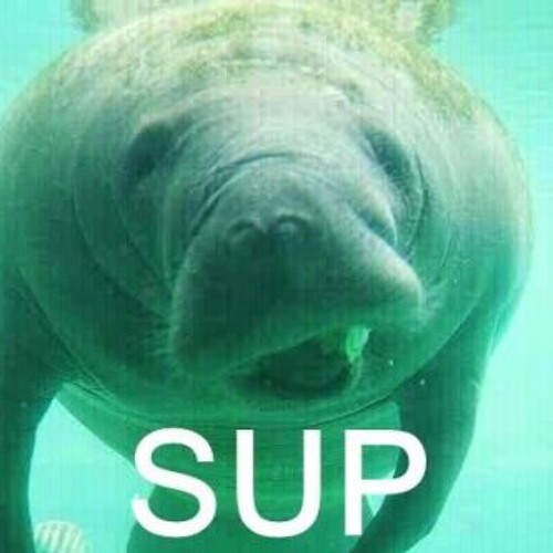 Stream X Puncinella (The Handle Riddim) by kblm Listen