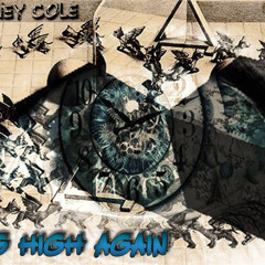 FLYING HIGH AGAIN by Stoney Cole 432hz tuning