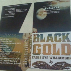 Eagle Eye Williamson - Black Gold - 11 I Don't Want To Be Alone