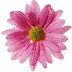 Ai Kotoba -words Of Love- English Piano Cover