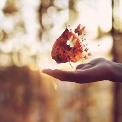 حنايا القلب - براء لعوّيد