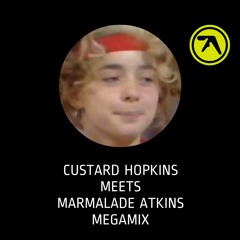 Aphex Twin - Custard Hopkins Meets Marmalade Atkins Megamix