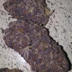 Fuck around and take your bitch