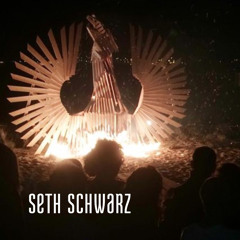 SETH SCHWARZ @ Amsterdam // Pllek