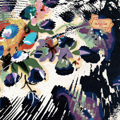 Tarzan - Cheetah (1st Gibbon In Space)