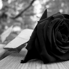 Sonora Santanera - Amor Eterno - Enrikisimo Deejay Remaster