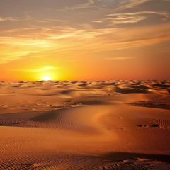 The fate of humankind