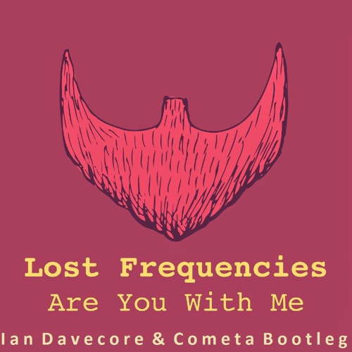 Lost Frequencies - Are You With Me (Ian Davecore & Cometa Video Bootleg)