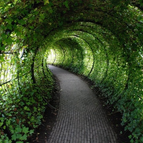 Hideyoshi a.k.a. Thee Mad Scientist - North - Garden