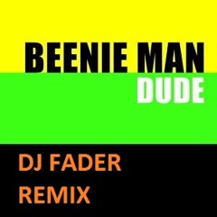 Beenie man Dude  A fader remix