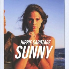 Hippie Sabotage - Your Soul (6k Flip)