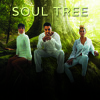 Download TELL ME I'M THE ONE ( MP3 ) TELL ME I'M THE ONE ( MP3 )