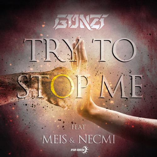 Gonzi - TRY TO STOP ME (Ft. Meis & Necmi)