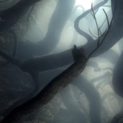 Darkroot [Dark Souls]