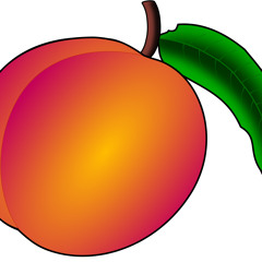Peach Reunion 2015 Flashback