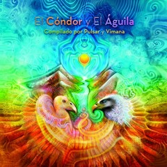 Sunus - Sombras (Original Mix)VA El Condor y El Aguila
