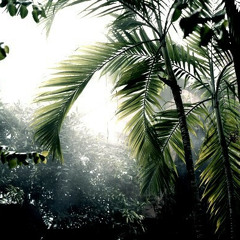 FOFO'S VULNERABLE W/ TINASHE //