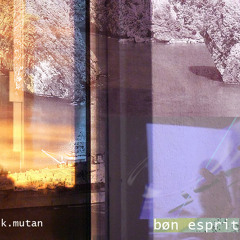 Good spirit 06_Bon esprit (dec 2012)
